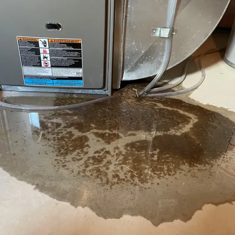 Appliance Leak Cleanup in Bremen, IN